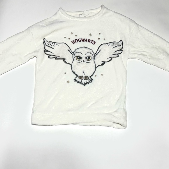 Wizarding World Of Harry Potter Other - Harry Potter Hogwarts Owl Sweatshirt Kids White Long Sleeve sweater
